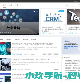 T媒体