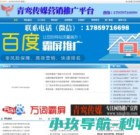 青鸾传媒,全网营销,网络推广,百度推广,软文推广,网络营销,网站建设,SEO优化