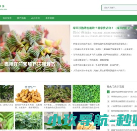 网站截图