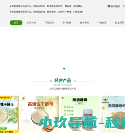 酿酒酵母