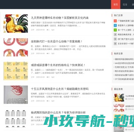 浣熊洗鞋