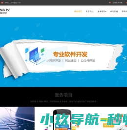 上海软件开发