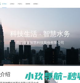 四川双嘉智慧科技股份有限公司