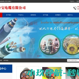 山东鲁宝电缆有限公司