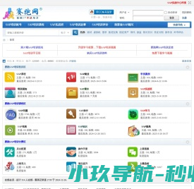 SAP培训