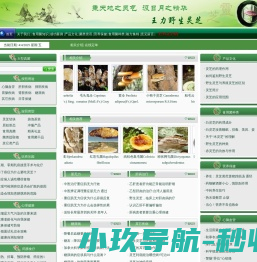 自助洗衣机