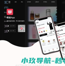 网站截图