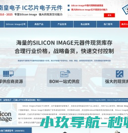 Silicon