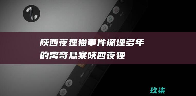 陕西夜狸猫事件：深埋多年的离奇悬案 (陕西夜狸猫事件真相揭秘)