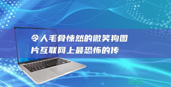 令人毛骨悚然的微笑狗图片：互联网上最恐怖的传说 (令人毛骨悚然的故事)