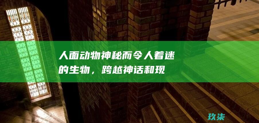 人面动物：神秘而令人着迷的生物，跨越神话和现实的界限 (人面动物身)