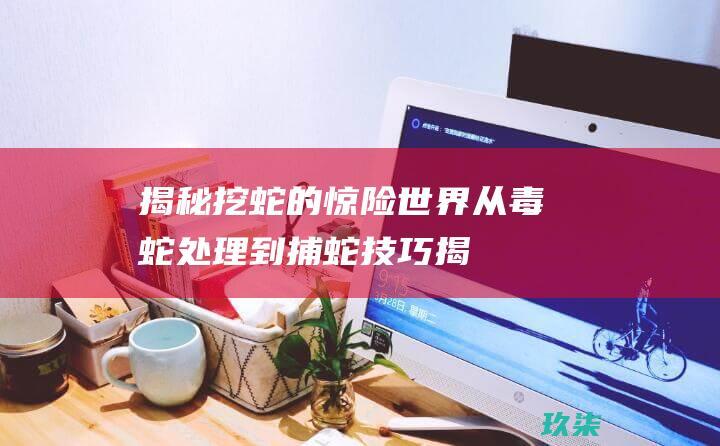 揭秘挖蛇的惊险世界：从毒蛇处理到捕蛇技巧 (揭秘挖蛇的惊蛰视频)