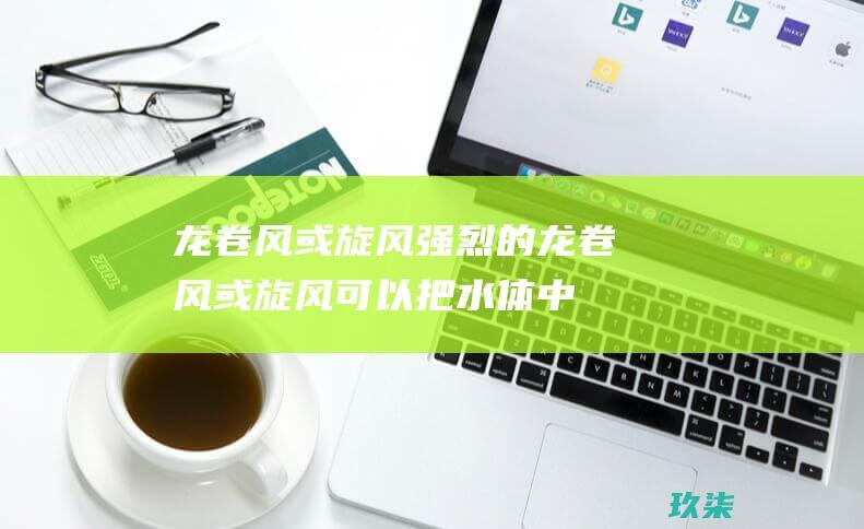 龙卷风或旋风：强烈的龙卷风或旋风可以把水体中的鱼卷到空中，然后又将它们带到远处。(龙卷风或旋风怎么画)