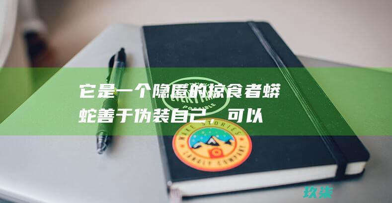 它是一个隐匿的掠食者：蟒蛇善于伪装自己，可以好几个星期不进食。(它是一个隐匿的世界)