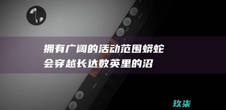 拥有广阔的活动范围：蟒蛇会穿越长达数英里的沼泽地，这使得追踪它们变得非常困难。(拥有广阔的活力英文)