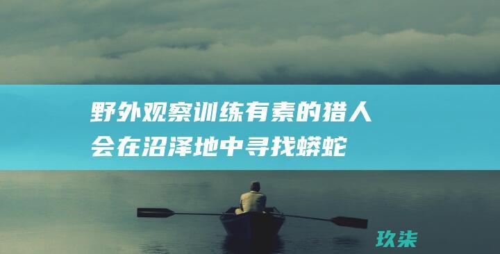 野外观察：训练有素的猎人会在沼泽地中寻找蟒蛇。(野外观察需要准备什么东西)