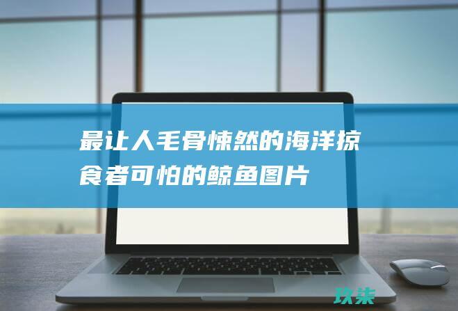 最让人毛骨悚然的海洋掠食者：可怕的鲸鱼图片 (最让人毛骨悚然的国旗图片)