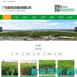 广东宝绿生态建设有限公司