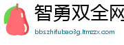 智勇双全网