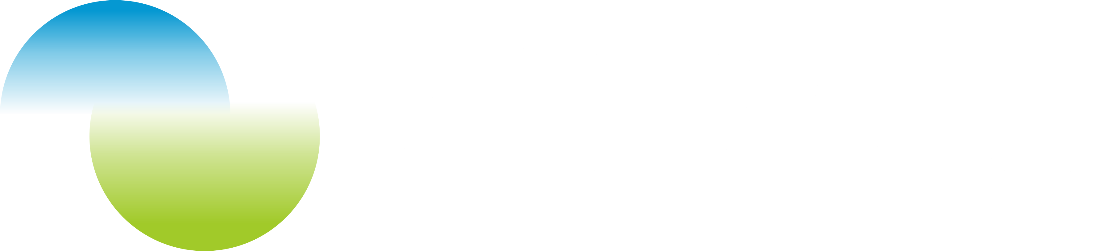 负极材料