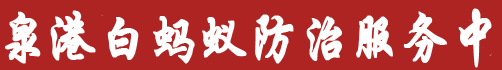 泉港区白蚂蚁防治【泉港白蚁防治服务中】惠安灭除白蚁中心.惠安专业白蚂蚁电话.虫消杀公司（泉港