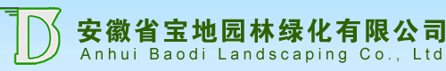 安徽省宝地园林绿化有限公司,宝地园林,安徽宝地园林,合肥宝地园林,合肥园林公司,安徽园林公司,宝地园林绿化,合肥园林绿化,安徽园林绿化