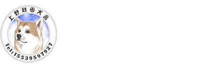 日本秋田犬