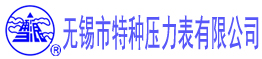 30年压力表行业领航者,压力表生产厂家